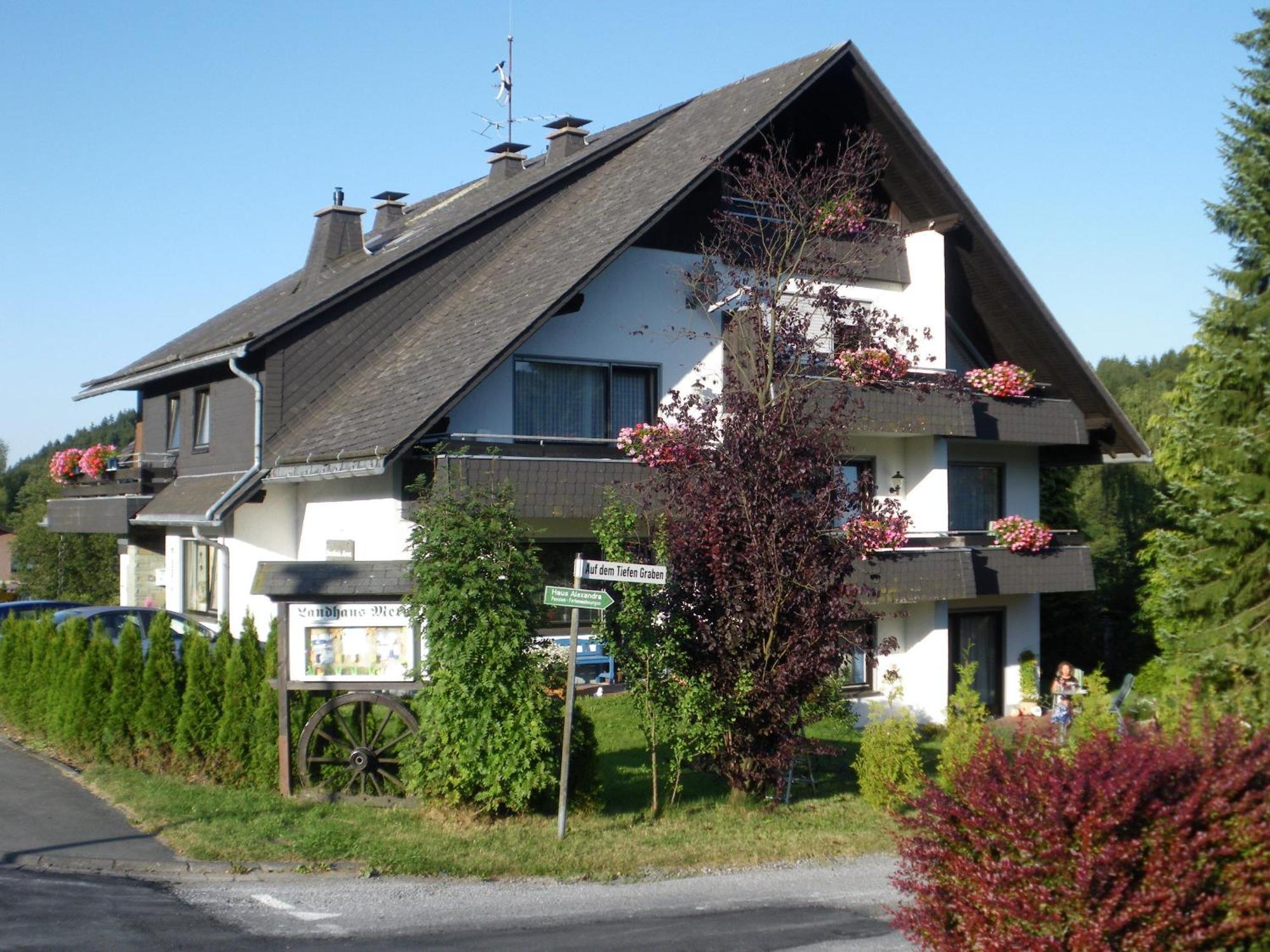 Ferienwohnungen Landhaus Meran Inkl Meinecardplus Willingen  Exterior foto